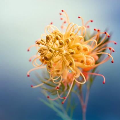 半夜醒来签名说说带图片