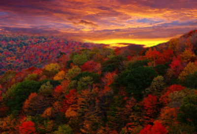 十年的美梦泡汤qq网名(149个)