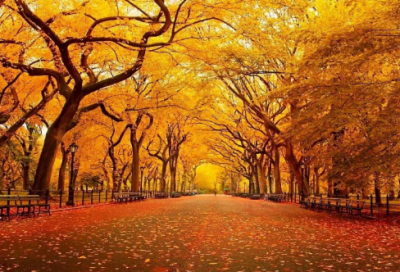 ​男人最霸气的网名(147个)