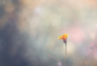 ​带想念2字的网名大全