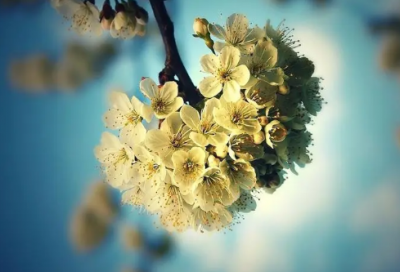 ​以带字开头的网名大全