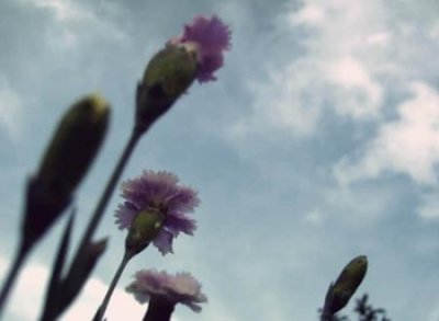 简短霸气的英文网名，高贵黑暗冷酷的英文名