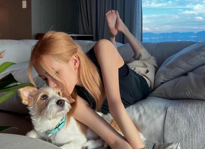 ​2025含有散文的套路情话（散文式软文文案）