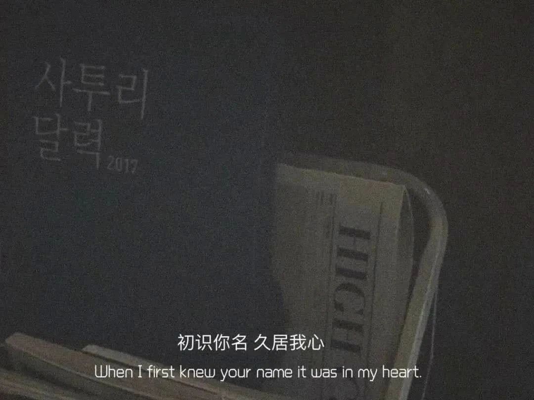 遇见即是上上签下一句是啥（分享1句唯美情感文案）