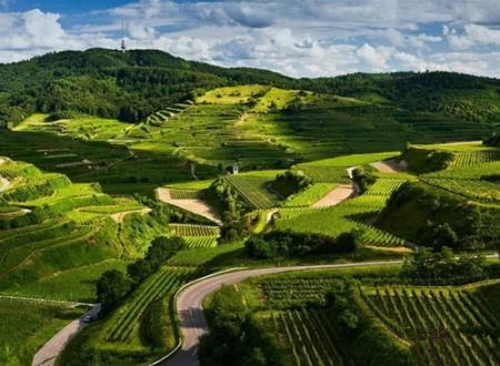 霸气的吃鸡战队名字大全