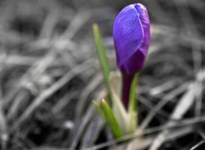 ​思念某人的网名