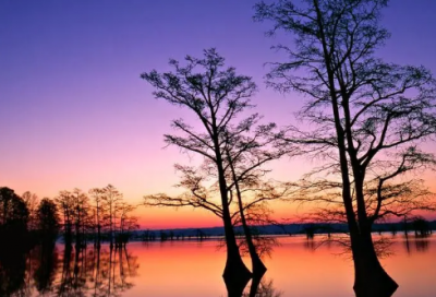 ​拉风的游戏名字_此妞-不多情