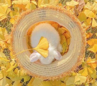 ​努力上进的励志正能量短句(26句)