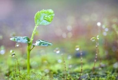 ​鼓励打卡的句子