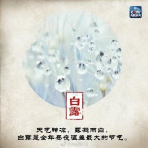 ​简短励志名言大全[40句] (就是自己以后的人生…)