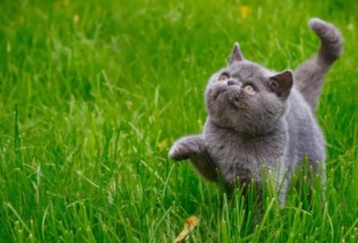 ​情感爱情微语录