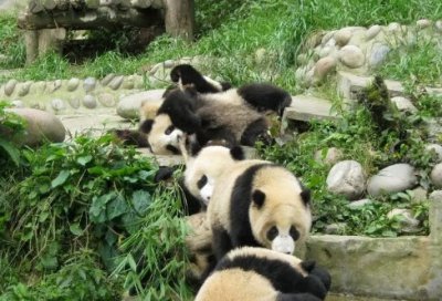 ​宫心计经典台词_经典台词