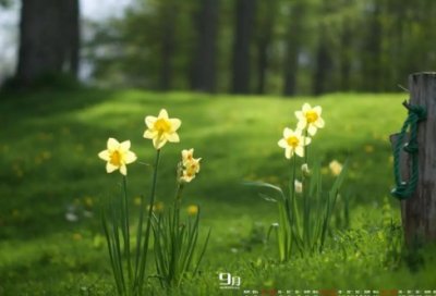 ​游戏名字大全古风2个字