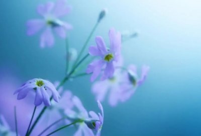 ​好听有诗意的古风网名_清月楚雨