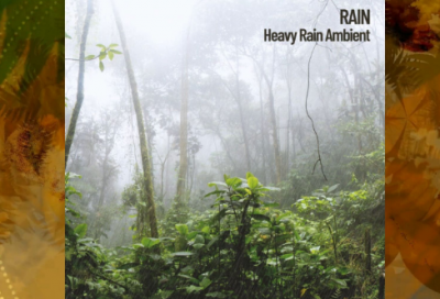 ​非限制*定语从句举例