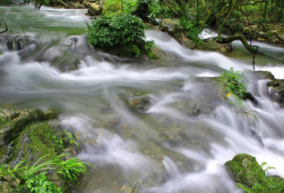 ​感谢同事帮助的话