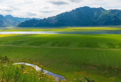 ​高考4字祝福语汇集