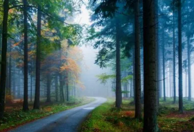 ​给长辈的简短生日祝福语