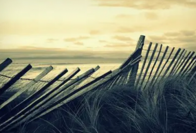 ​工作成长心得收获