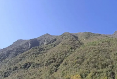 ​鼓励学生积极向上的话