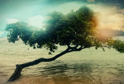 ​关爱帮扶留守儿童记录