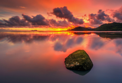 ​关于鸡的祝福语