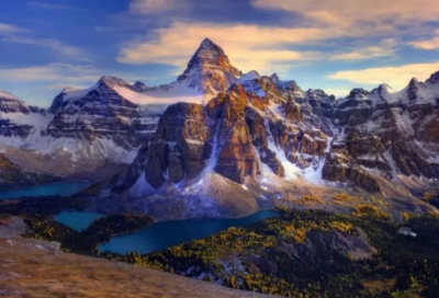 ​关于劳动合同法使用的案例