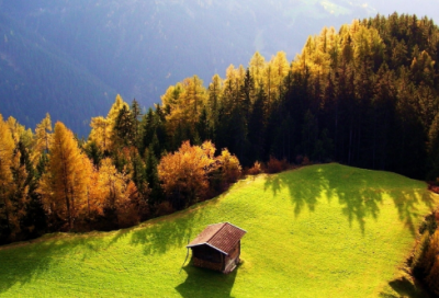 ​关于飘的造句