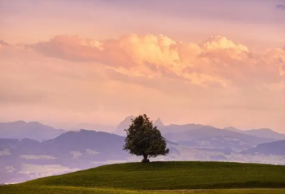 ​关于伤仲永的原文及翻译