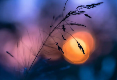 ​关于玉的美句