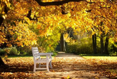 ​观察日记500字以上