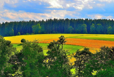 ​好句摘抄加赏析