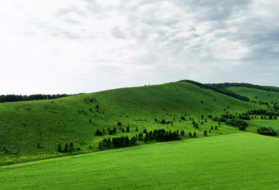 ​红楼梦的好词佳句