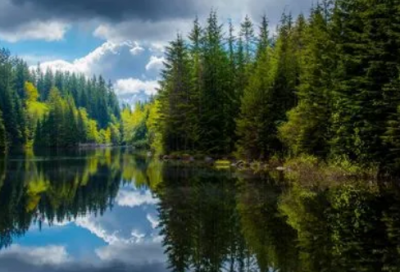 ​红岩中的好词好句摘抄