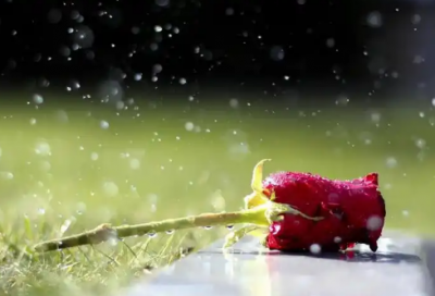 ​会计实训的收获和心得