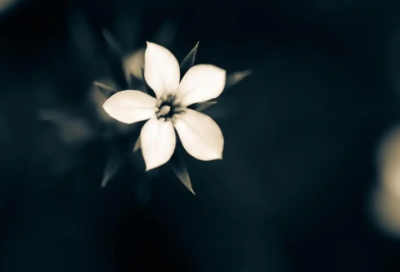 ​季节问候语精选230句