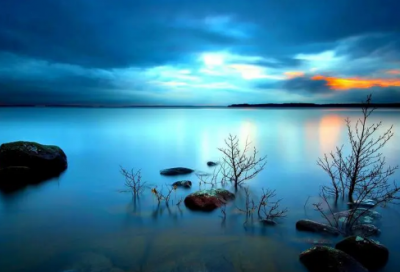 ​家长开放日活动感言