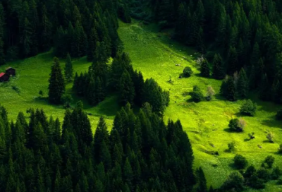 ​简短班主任寄语50句