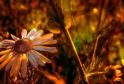 ​教师节讲话简短