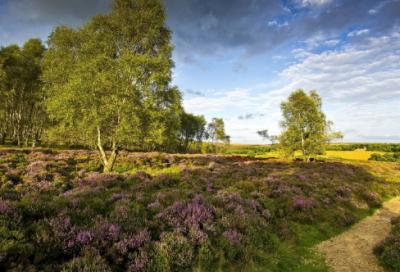 ​教研组活动记录：小学数学