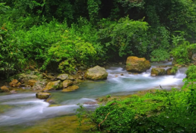 ​借景抒情的段落摘抄