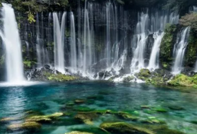 ​昆虫记好词好句好段摘抄