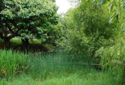 ​鲁滨逊漂流记好句好段