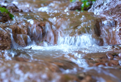 ​罗兰《秋颂》阅读*及赏析