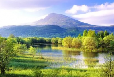 ​名人思乡的小故事