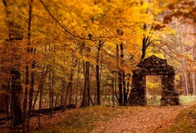 ​母亲节一句话祝福语集锦