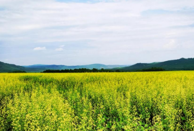 ​母亲节祝福语50字