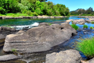 ​呐喊的读书笔记摘抄好词好句