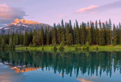 ​逆光飞翔观后感范文500字