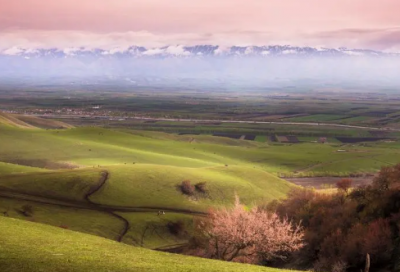 ​女诫全文译文